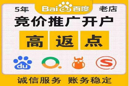 SEM广告投放的竞价策略与效果评估案例